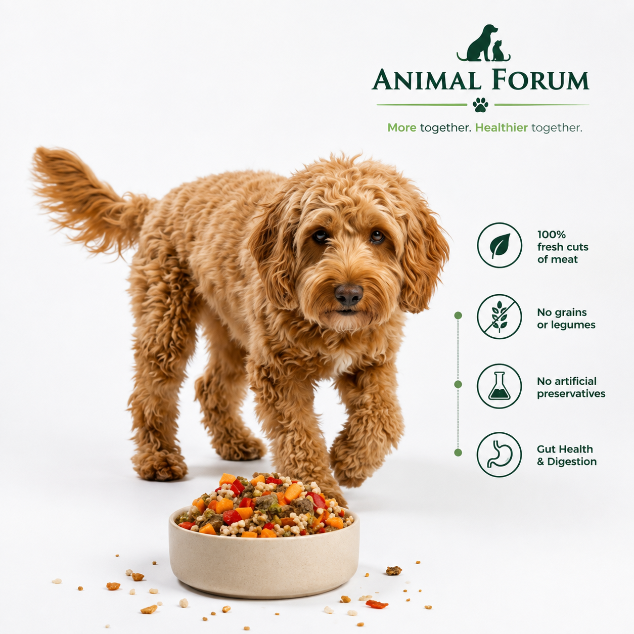 Animal Forum Chicken Thigh Mediterranean Casserole Fresh Dog Food 700g