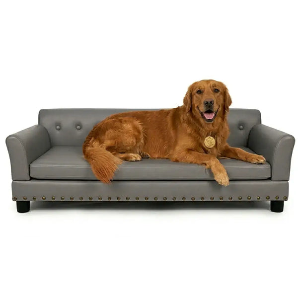 Pet Beds & Furniture