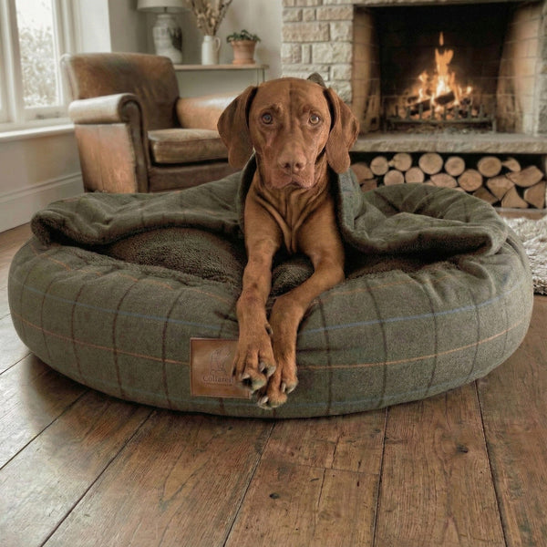 Dog Beds