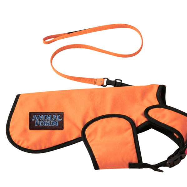 Orange Dog Safety Jacket