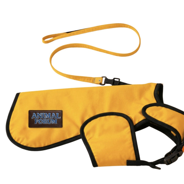 Yellow Dog Safety Jacket