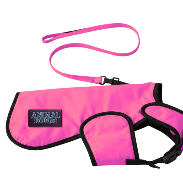 Pink Dog Safety Jacket