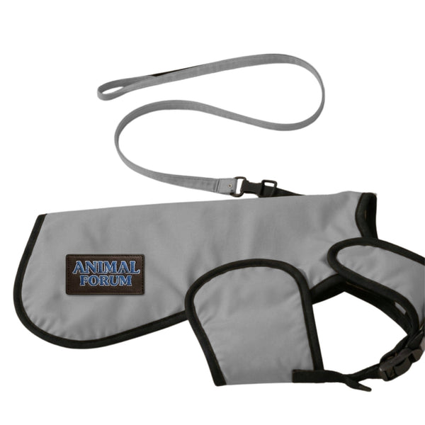 Grey Dog Safety Jacket