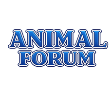  Animal Forum