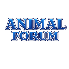  Animal Forum