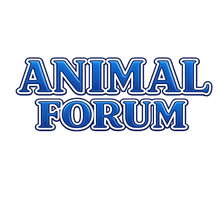  Animal Forum