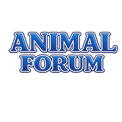  Animal Forum