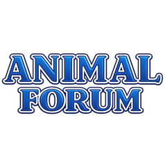 Animal Forum
