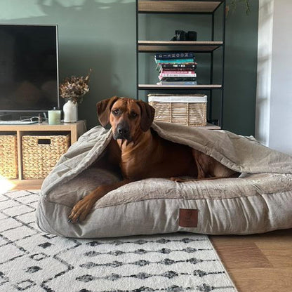 Luxury Hooded Dog Snuggle Bed – Beige