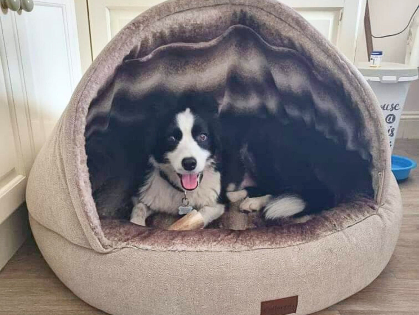 Beige Orthopaedic Cocoon Dog Bed