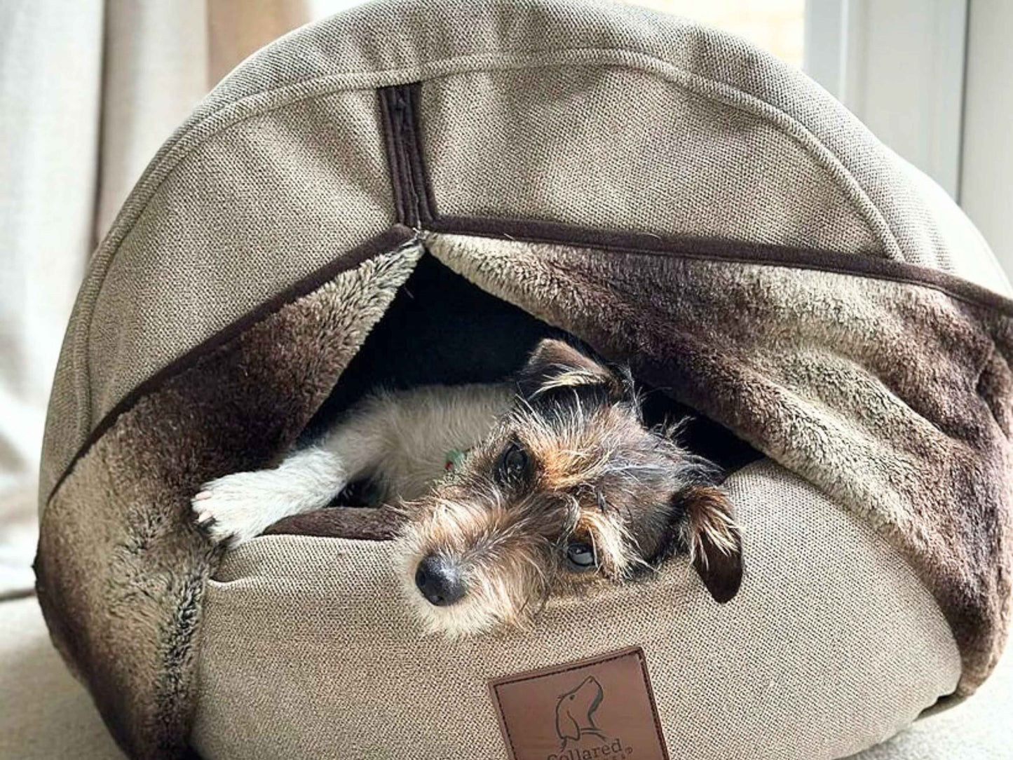 Beige Orthopaedic Cocoon Dog Bed