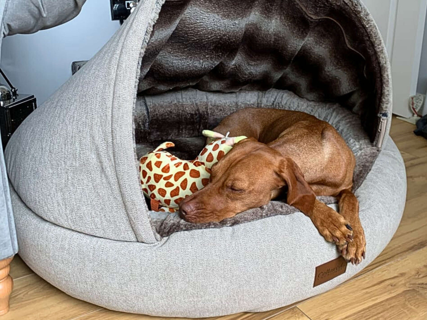 Beige Orthopaedic Cocoon Dog Bed