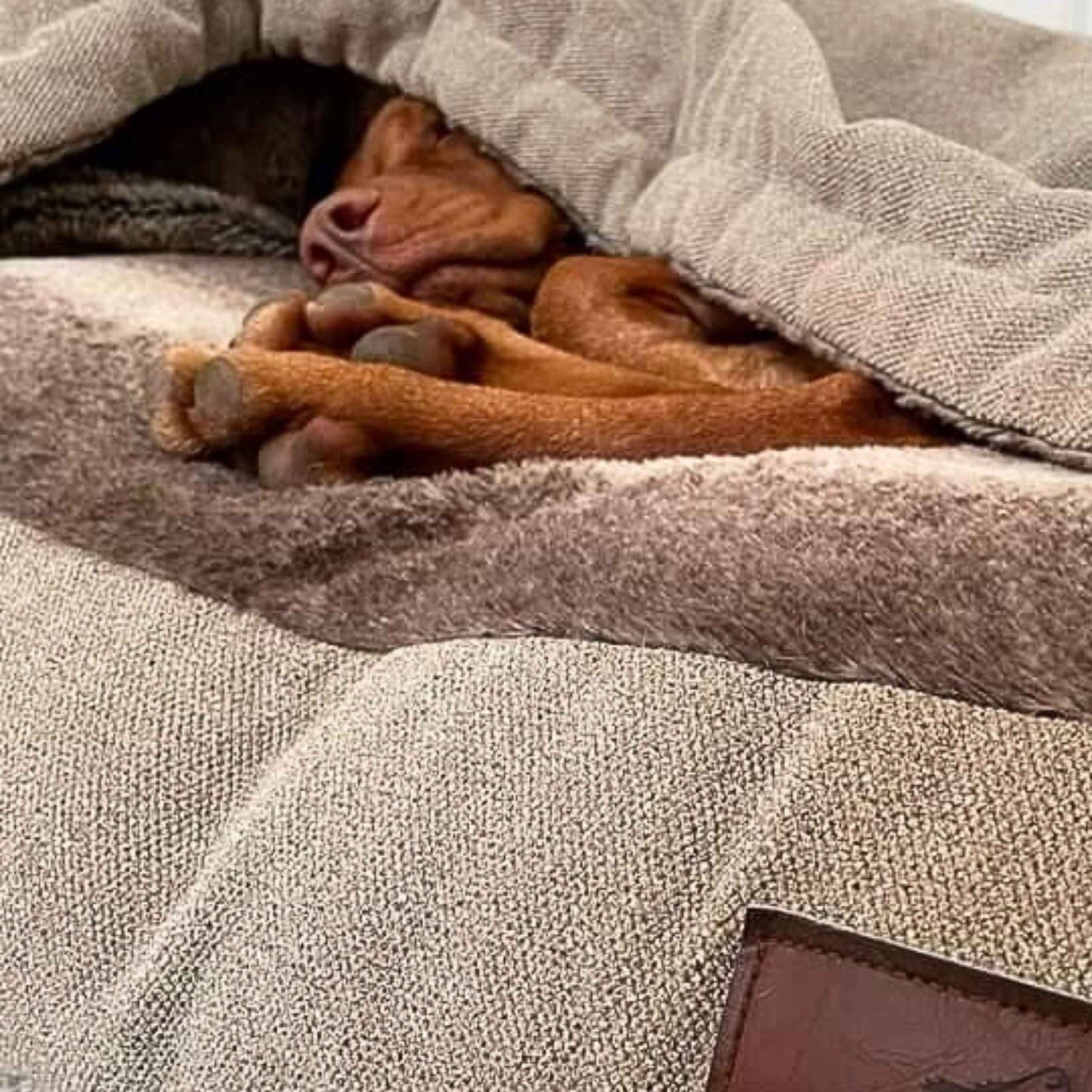 Luxury Hooded Dog Snuggle Bed – Beige
