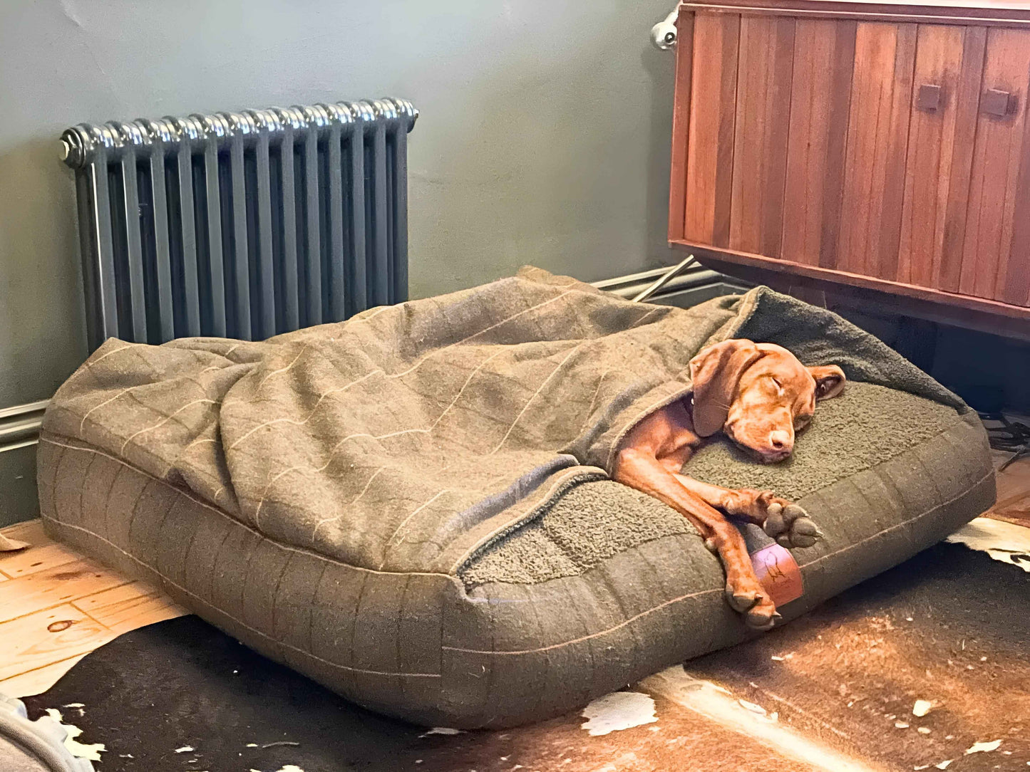 Green Tweed Hooded Dog Snuggle Bed