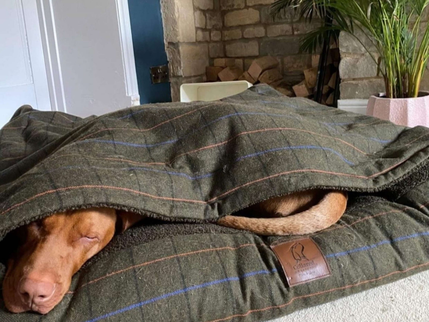 Green Tweed Hooded Dog Snuggle Bed