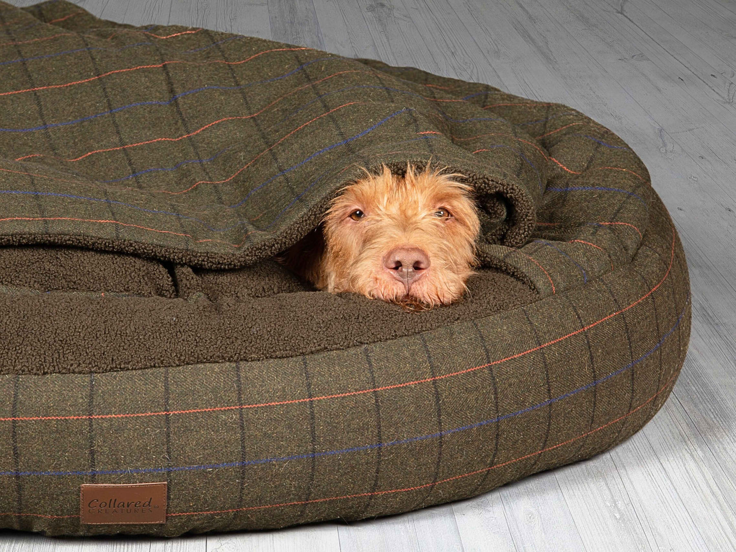 Green Tweed Cocoon Dog Bed
