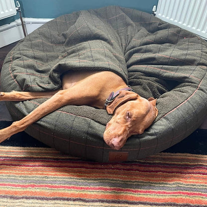 Green Tweed Cocoon Dog Bed