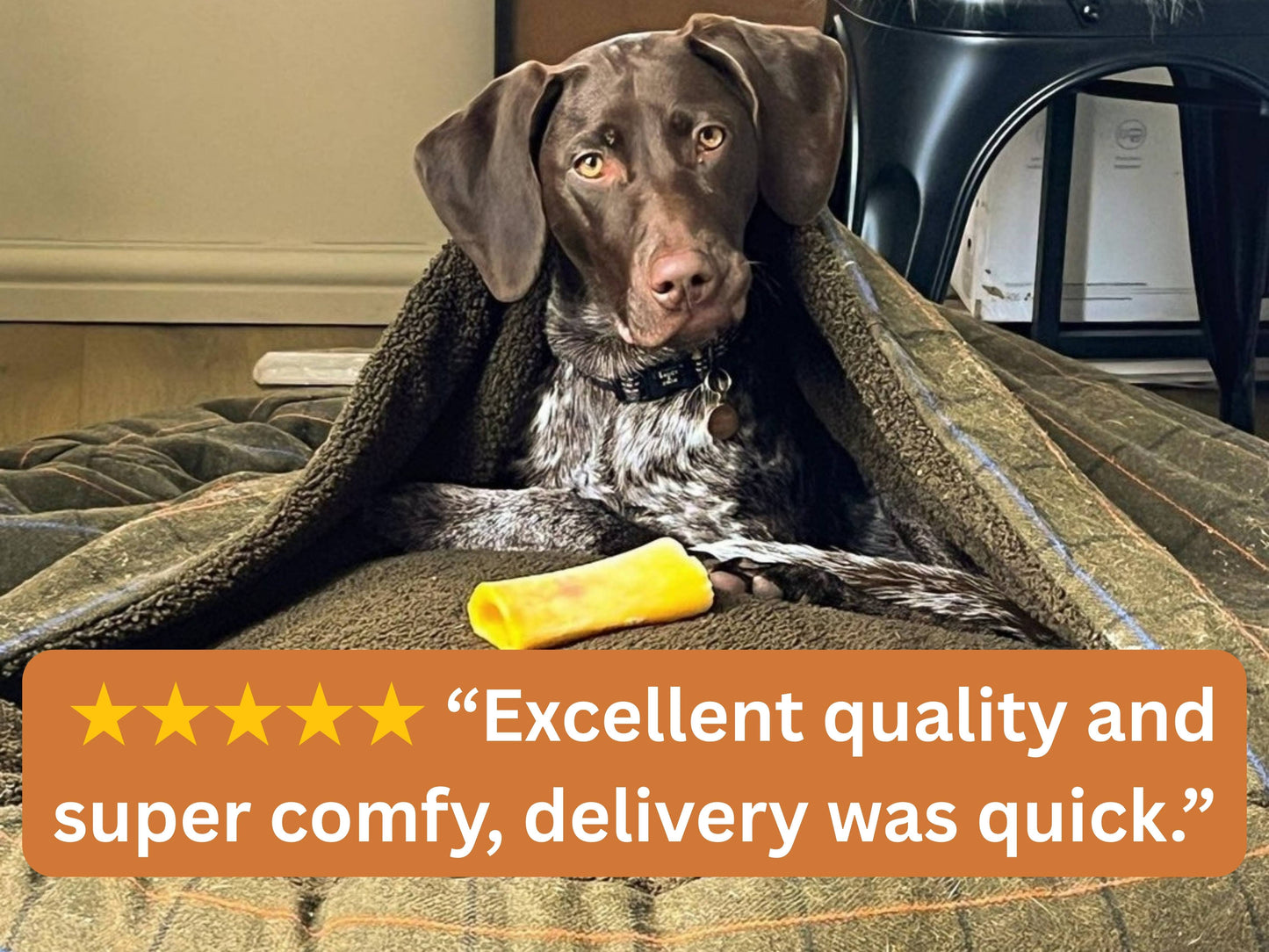 Green Tweed Cocoon Dog Bed
