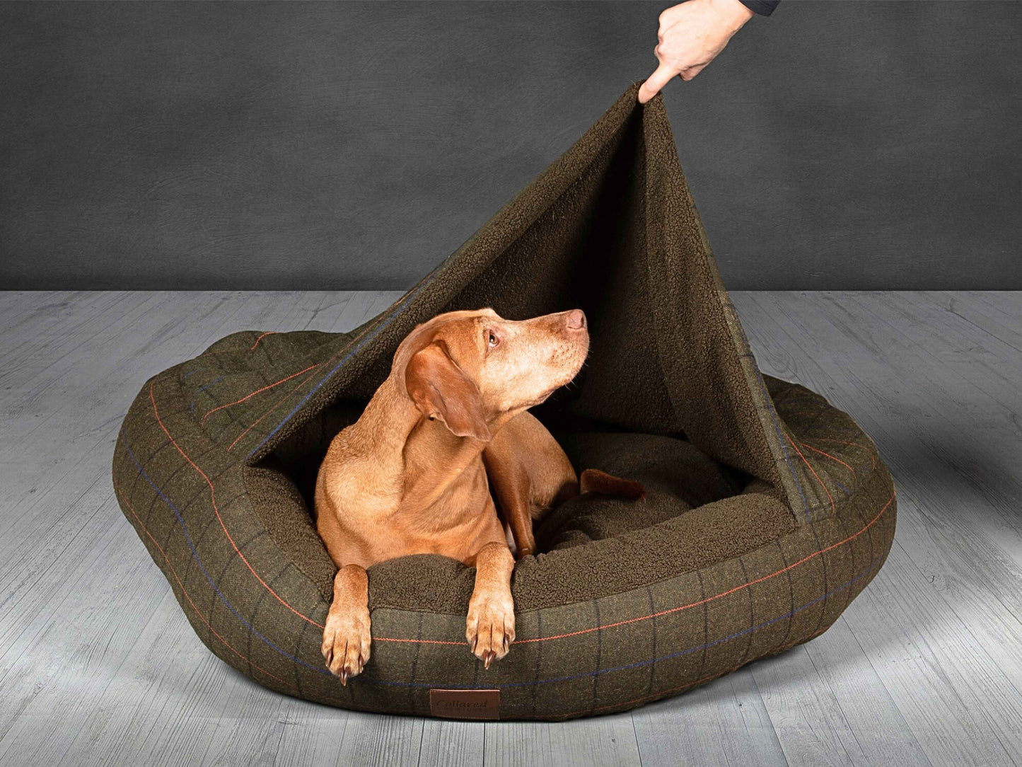 Green Tweed Cocoon Dog Bed