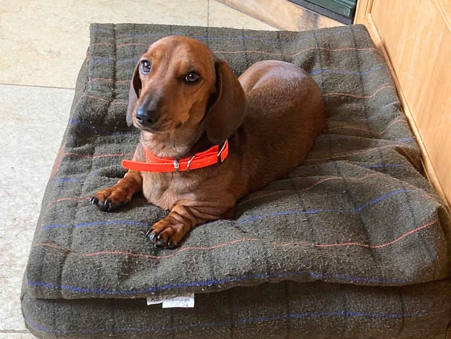 Green Tweed Hooded Dog Snuggle Bed