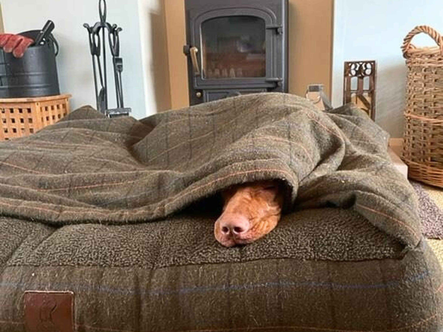 Green Tweed Hooded Dog Snuggle Bed