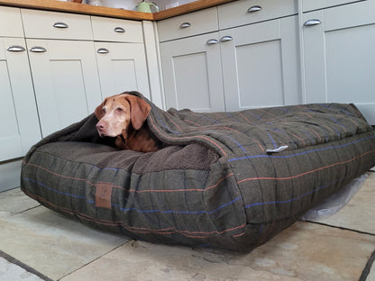 Green Tweed Hooded Dog Snuggle Bed
