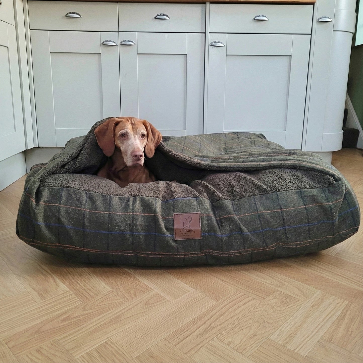 Green Tweed Hooded Dog Snuggle Bed