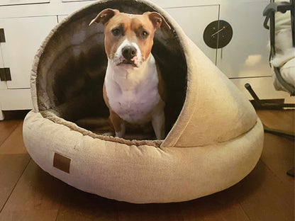 Beige Orthopaedic Cocoon Dog Bed